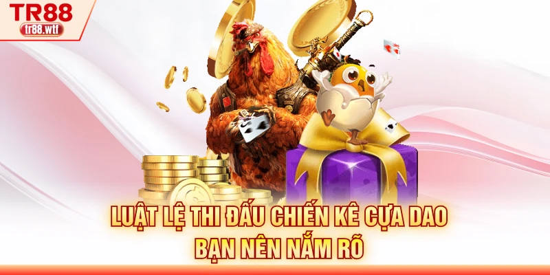 Luật lệ thi đấu chiến kê cựa dao bạn nên nắm rõ